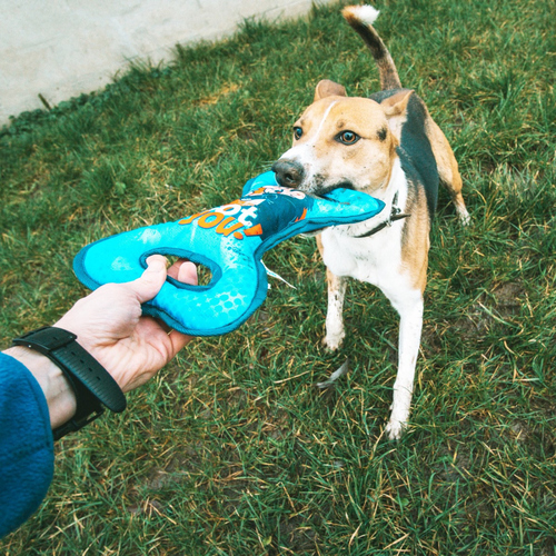 weitere Abbildung Duvo+ Hundespielzeug 