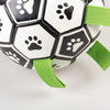 Duvo+ Hundespielzeug Interaktiver Fußball Abbildung 5