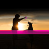 Duvo+ Hundespielzeug LED Flash Ball fuchsie Abbildung 3