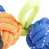 Duvo+ Hundespielzeug Scooby Seil Dummy Ball bunt Abbildung 3