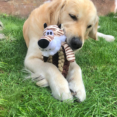 weitere Abbildung Duvo+ Hundespielzeug Zoo Friends Tiger Ring braun