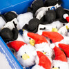 Duvo+ Katzenspielzeug Xmas Fluffy Schneebälle Abbildung 3