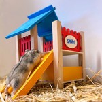 Nager Spielplatz 