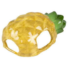 Abbildung Duvo+ Nagerhaus Stone Pineapple