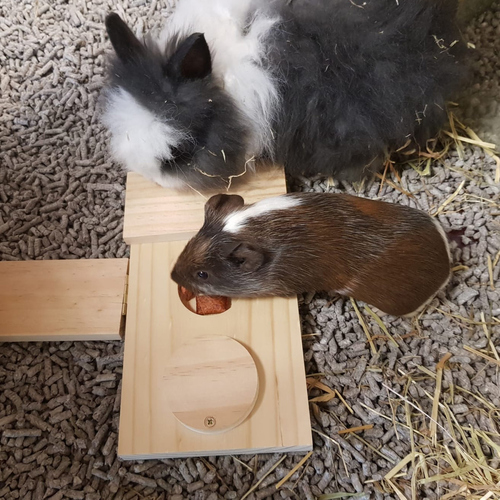 weitere Abbildung Duvo+ Nagerspielzeug Sniffle 'n Snack Puzzle Dan