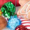 Duvo+ Xmas Geschenktasche mit 10 Katzenspielzeugen Abbildung 4
