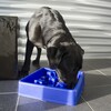 Eat Slow Live Longer Anti-Schlingnapf Star blau Abbildung 5