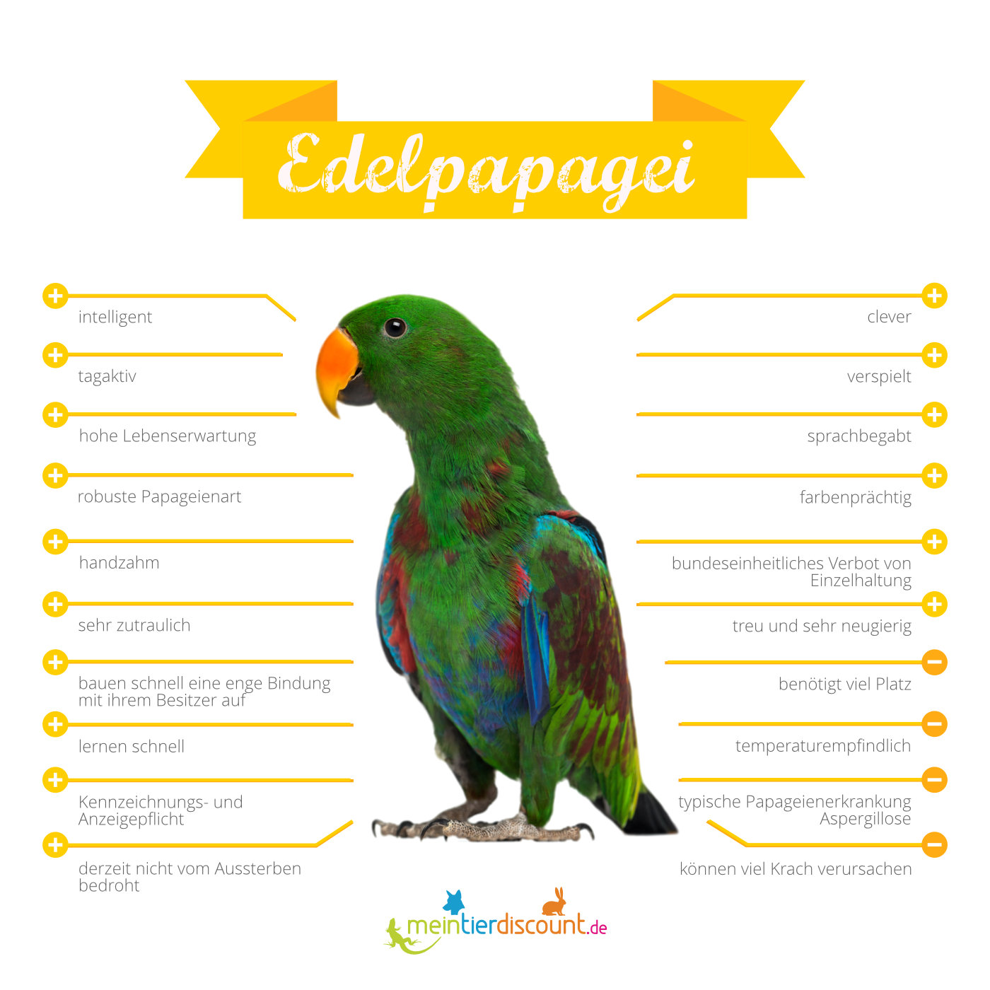 Edelpapagei