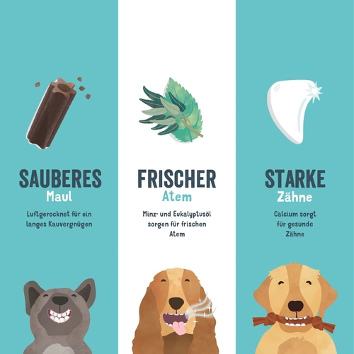 weitere Abbildung Edgard Cooper Doggy Dental Erdbeere & Minze M 160 g