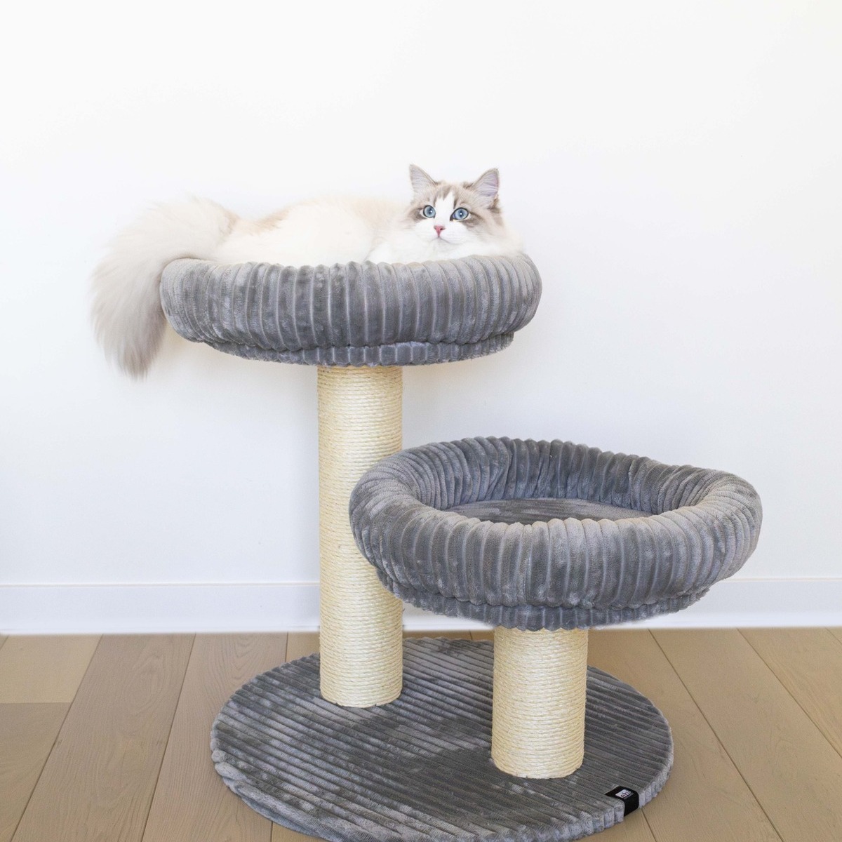 Europet-Bernina Tiertransportbox Transportkäfig Adventurer 50 Basic Edition navy für Katzen