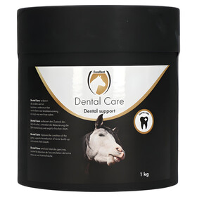 Excellent Horse Dental Care