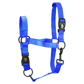 Abbildung Excellent Horse Essential Halfter blau