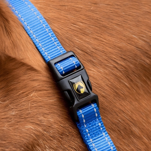 weitere Abbildung Excellent Horse Essential Halfter blau
