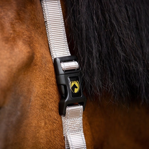 weitere Abbildung Excellent Horse Essential Halfter grau