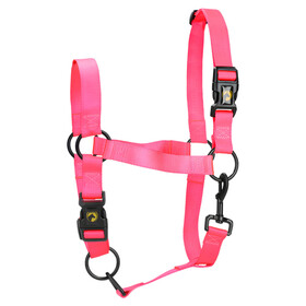 Abbildung Excellent Horse Essential Halfter rosa