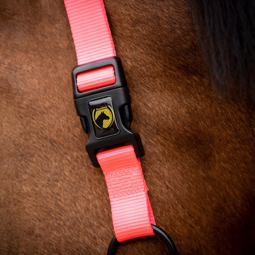 weitere Abbildung Excellent Horse Essential Halfter rosa