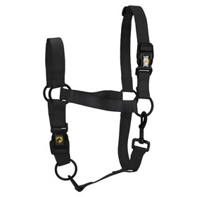 Abbildung Excellent Horse Essential Halfter schwarz