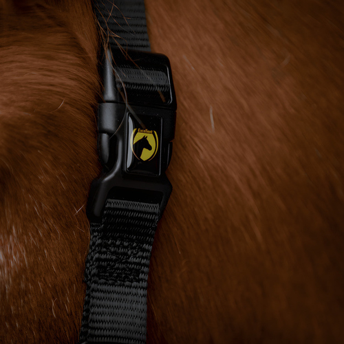 weitere Abbildung Excellent Horse Essential Halfter schwarz