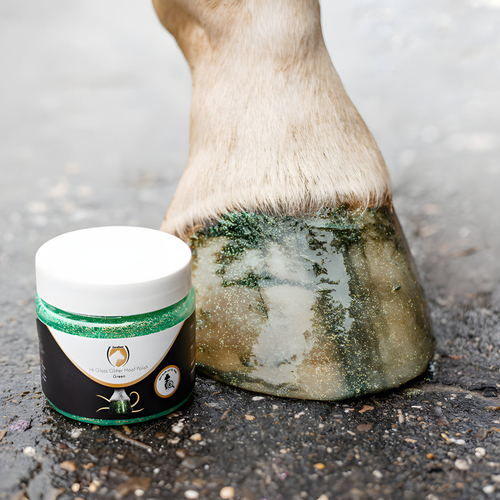 weitere Abbildung Excellent Horse Hi Gloss Glitter Huflack grn 150 ml