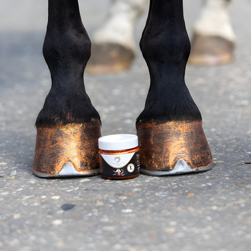 weitere Abbildung Excellent Horse Hi Gloss Glitter Huflack orange 150 ml