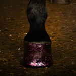 Hi Gloss Glitter Hoof Polish pink 150 ml, Figure 15
