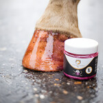 Hi Gloss Glitter Hoof Polish pink 150 ml, Figure 17