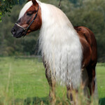 Hi Gloss Spray, Abbildung 3