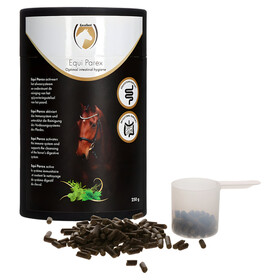 Excellent Horse Parex