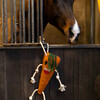 Excellent Horse Pferdespielzeug Foodie Friends Carrot Abbildung 3