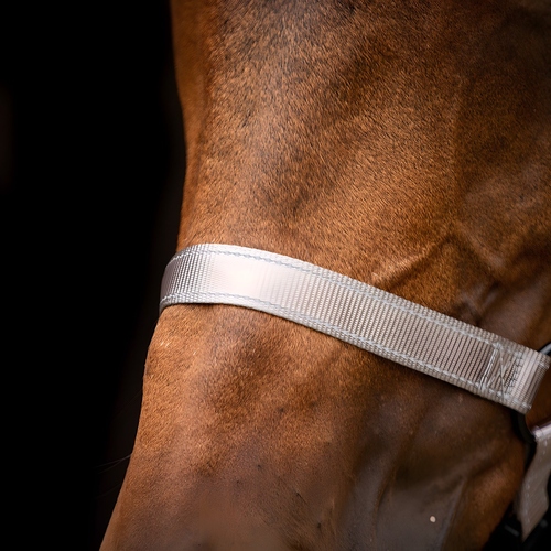 weitere Abbildung Excellent Horse Premium Halfter grau