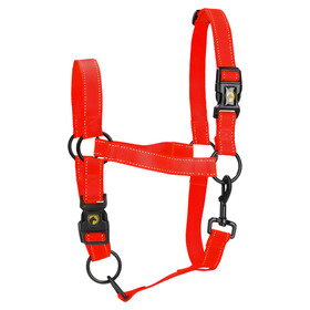Abbildung Excellent Horse Premium Halfter rot