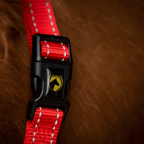 weitere Abbildung Excellent Horse Premium Halfter rot