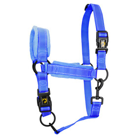 Abbildung Excellent Horse Superior Halfter blau