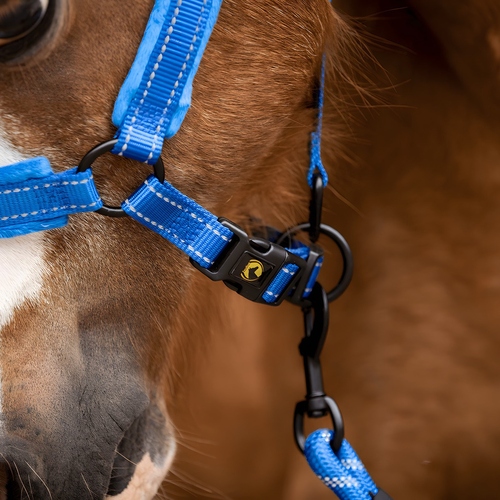 weitere Abbildung Excellent Horse Superior Halfter blau
