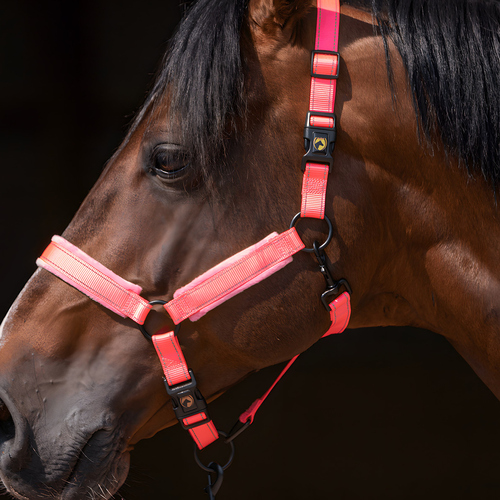 weitere Abbildung Excellent Horse Superior Halfter rosa