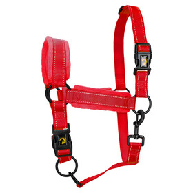 Abbildung Excellent Horse Superior Halfter rot