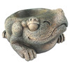 Exo Terra Aztec Frosch Wassernapf Abbildung 1