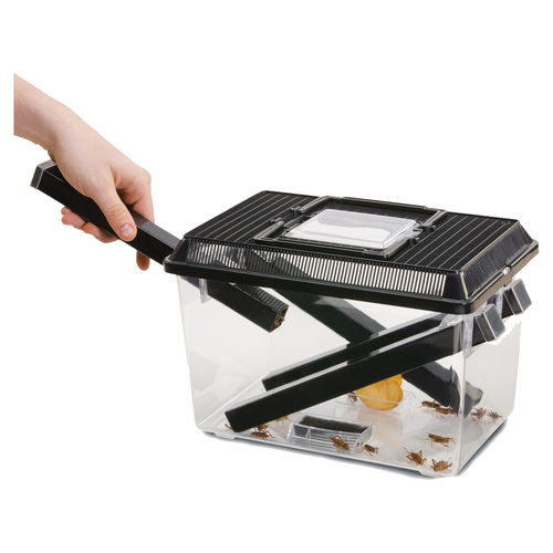 weitere Abbildung Exo Terra Cricket Box