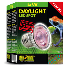 Abbildung Exo Terra Daylight LED Spot - Tageslichtlampe NANO 5 W