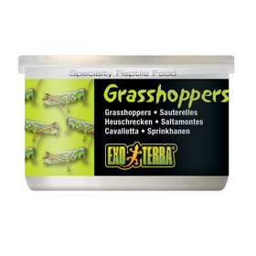 Abbildung Exo Terra Grasshoppers Dosenfutter (Heuschrecken) 34 g