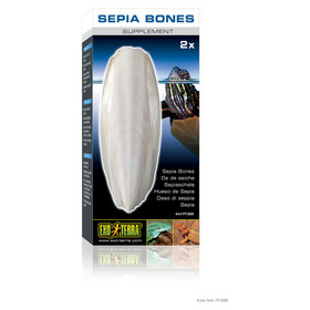 Abbildung Exo Terra Sepia Bones - Sepiaschale