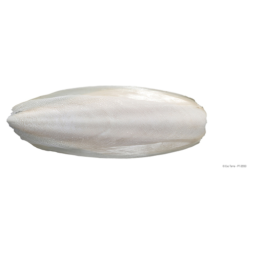 weitere Abbildung Exo Terra Sepia Bones - Sepiaschale