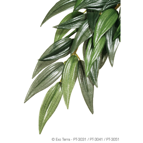 Exo Terra Terrarien-Pflanze Ruscus