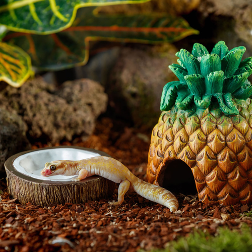 weitere Abbildung Exo Terra Tiki Kokosnuss Wassernapf