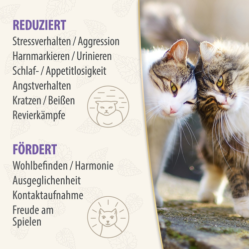 weitere Abbildung Felisept Felisept Family Comfort Raumdiffuser Set