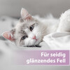 Felisept Felisept Fellpflegespray 250 ml Abbildung 4