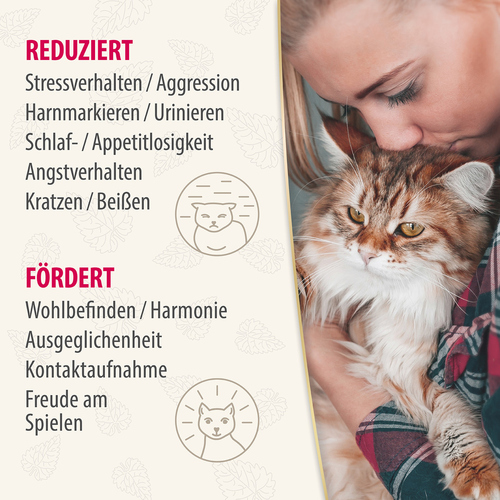 weitere Abbildung Felisept Home Comfort Beruhigungs-Spray 100 ml