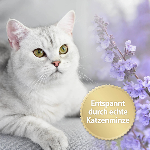 weitere Abbildung Felisept Home Comfort Spray 30 ml