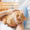 Felisept Wundgel 20 ml Abbildung 2