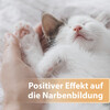 Felisept Wundgel 20 ml Abbildung 3